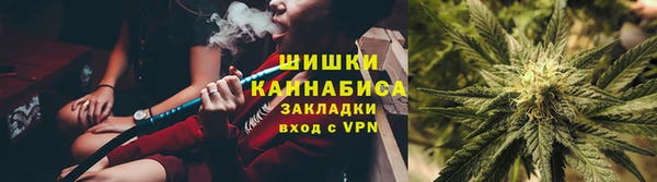 мдпв Вязьма